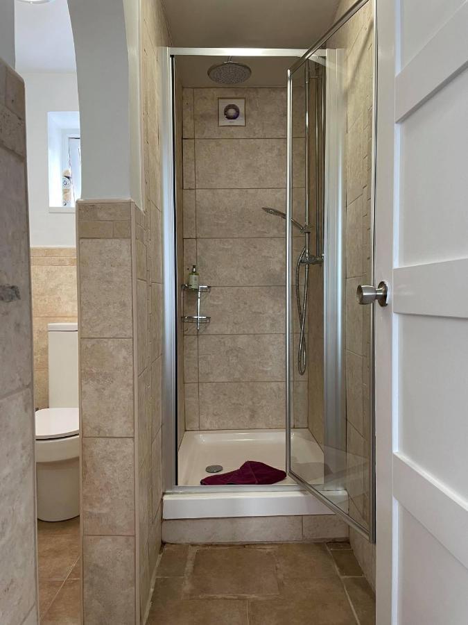 43 Annexe Διαμέρισμα New Quay Εξωτερικό φωτογραφία